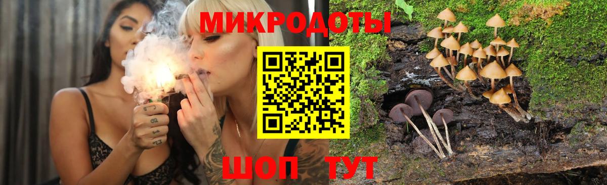 Галлюциногенные грибы Psilocybe Азнакаево